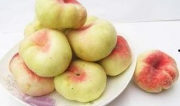 新疆蟠桃爆料新闻最新,甜蜜上市引关注！